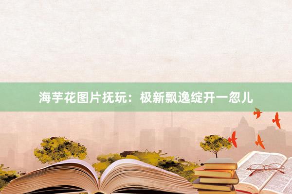海芋花图片抚玩：极新飘逸绽开一忽儿