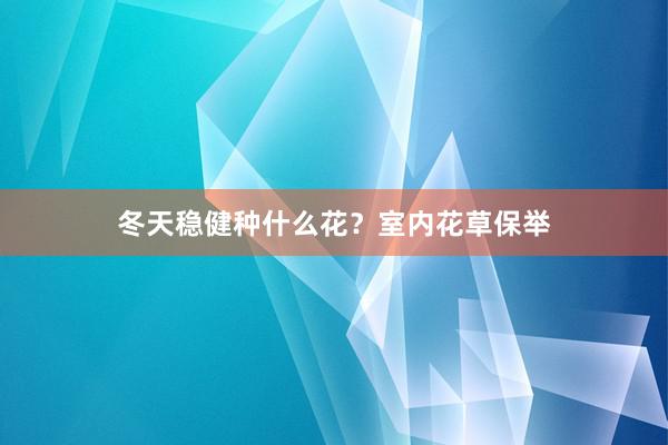 冬天稳健种什么花？室内花草保举